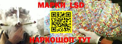 сатива Аргун