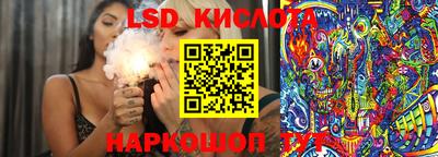 сатива Аргун