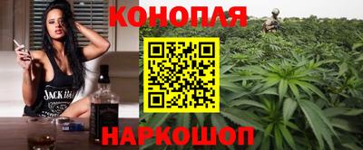 сатива Аргун