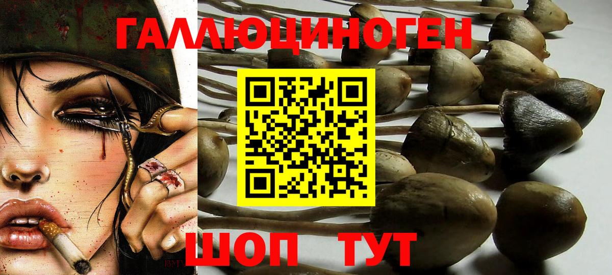 Галлюциногенные грибы мухоморы Балахна