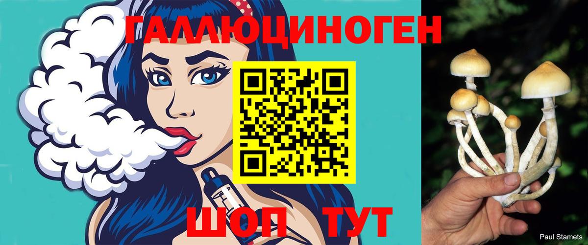 Балахна  Галлюциногенные грибы Magic Shrooms  Вход с VPN 
